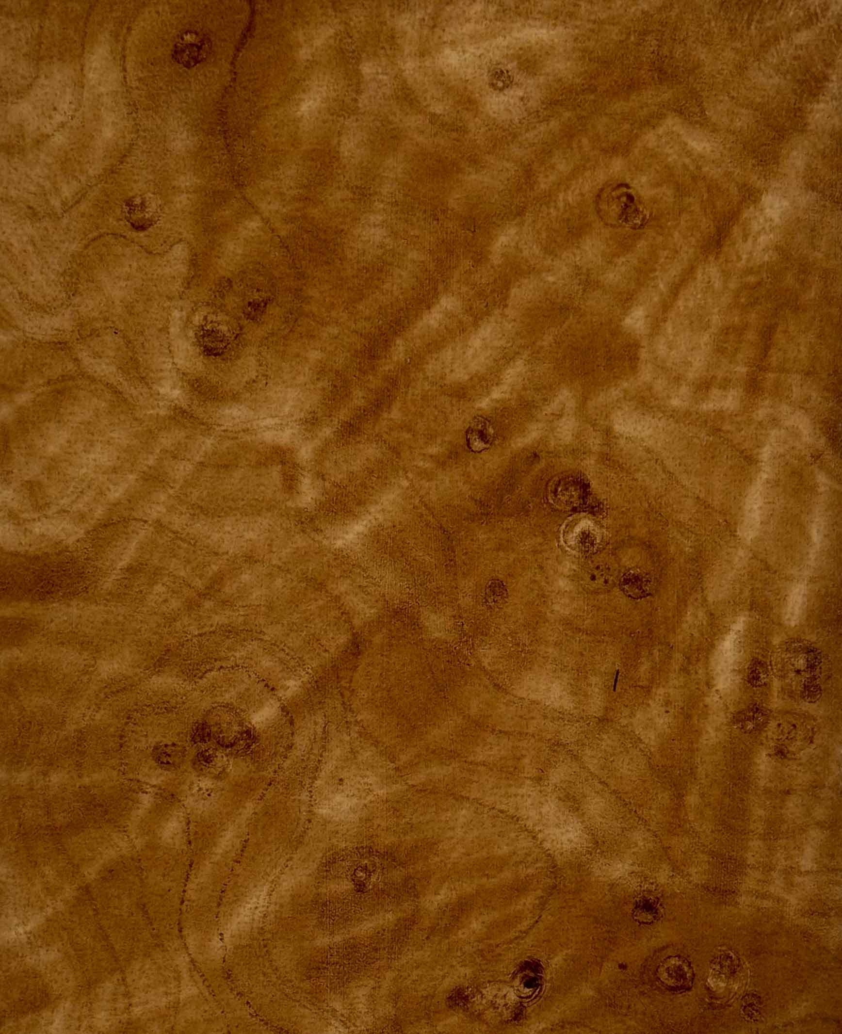 Bird's Eye Maple 2.jpg